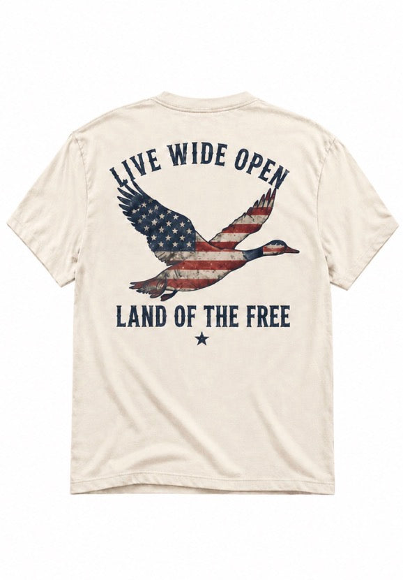 The America 250 Edition